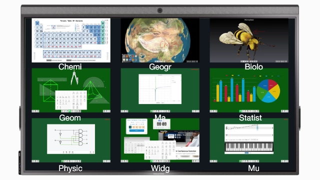 Professional Software